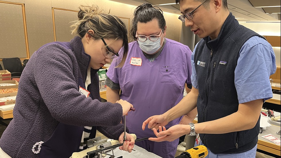 people working in a lab