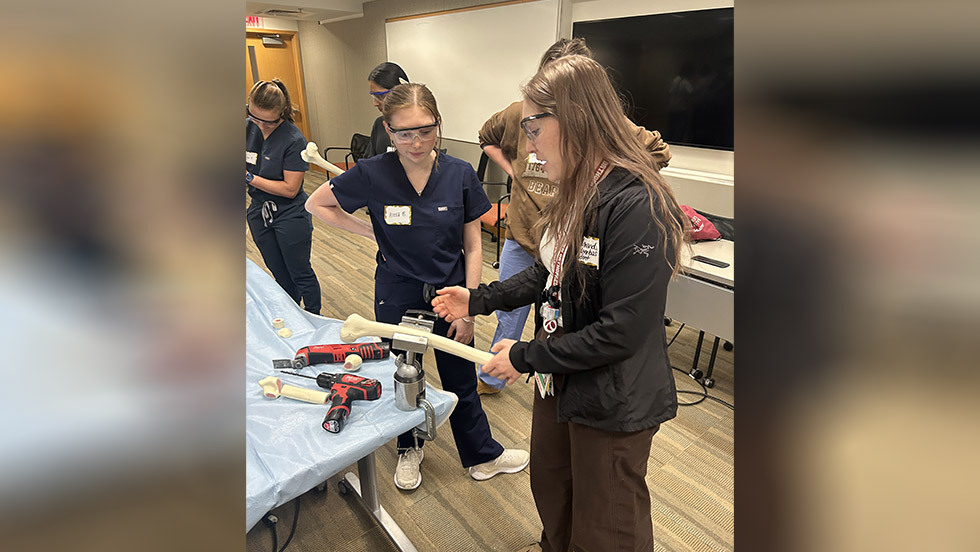 students working on a lab