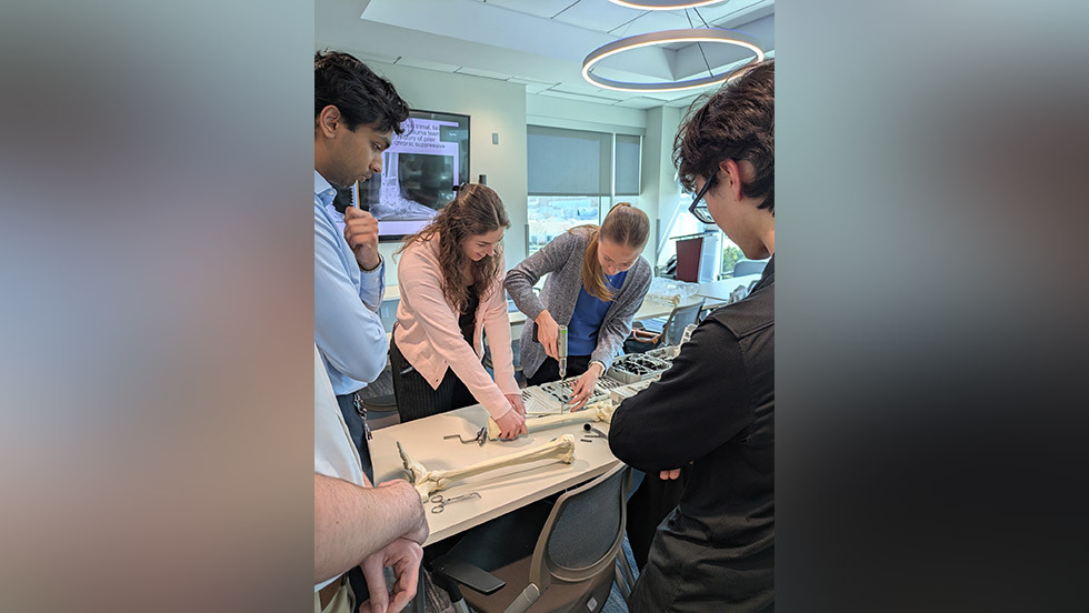 people working on models of bones